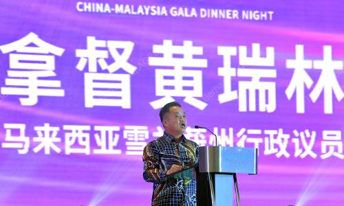 DATUK NG SUE LIM