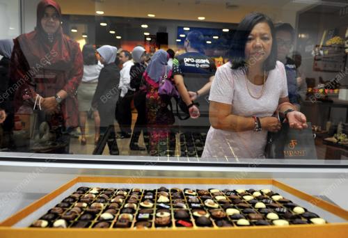 SG05_16012014_COKLAT