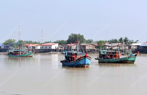 SG05_16022015_PERIKANAN