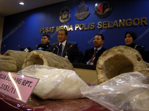 ACP NORDIN KADIR