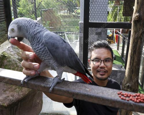 HAIWAN PELIHARAAN DI RUMAH