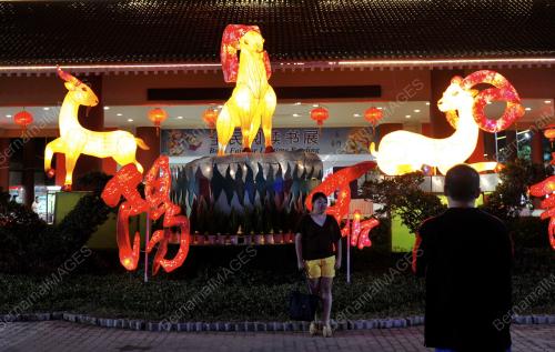 SG05_18022015_CNY
