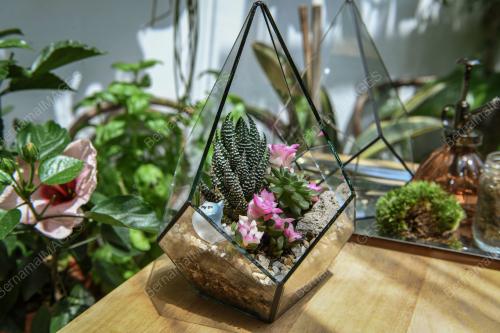 TERRARIUM THERAPY