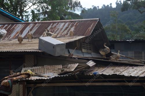 BANJIR HULU LANGAT