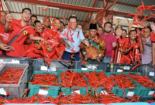 SG05_22012016_LADANG_CILI