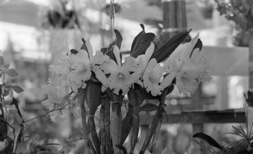SG05_23102015_AGASIA