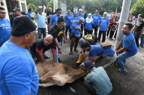 SG05_24082018_PERANGSANG