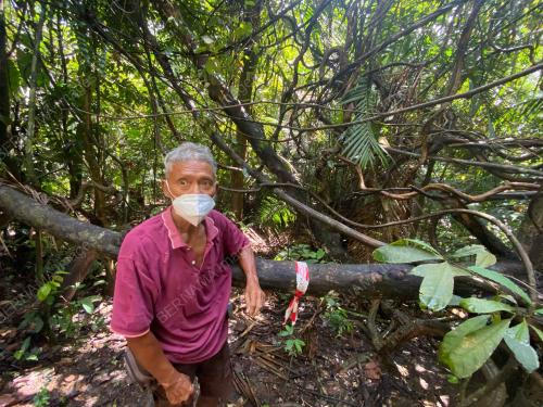 MASYARAKAT ORANG ASLI TEMUAN