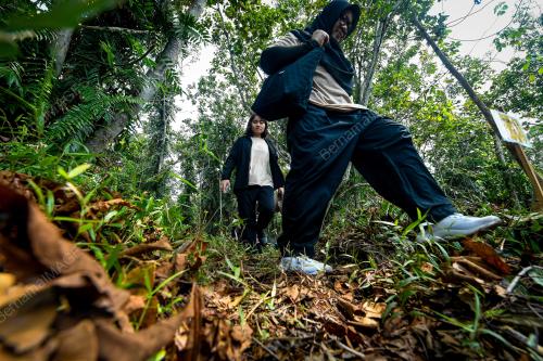 LAWATAN TAPAK HUTAN PAYA BAKAU OLEH DELEGASI ASEAN ATFP