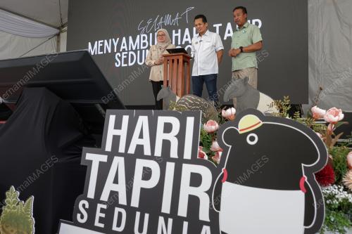 NIK NAZMI NIK AHMAD