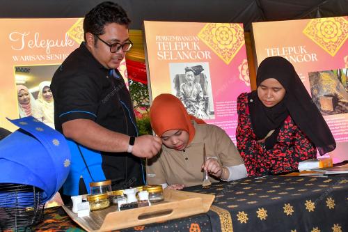 FARHANI SHAMSUDIN