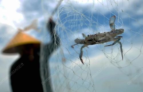 TINJAUAN PENDUDUK MENCARI HASIL LAUT DI NEGERI FASA 1 PPN