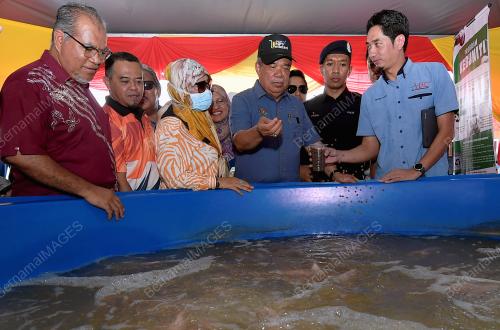DATUK SERI MOHAMAD SABU