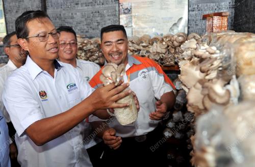 SG05_29082015_PELADANG