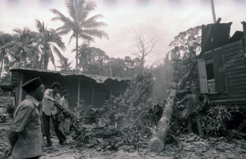 RUMAH DITIMPA POKOK DI KAMPUNG PAYA JARAS
