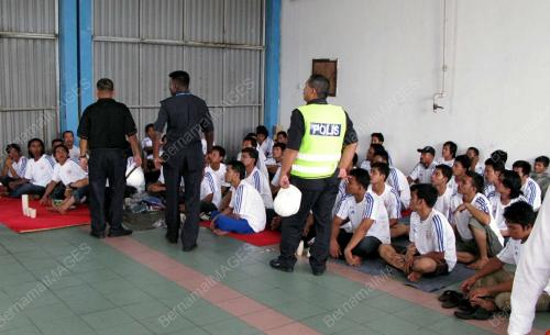 MANGSA TONGKANG KARAM