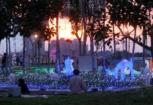 ORIENTAL DIGITAL LIGHTS FESTIVAL SHOWCASE
