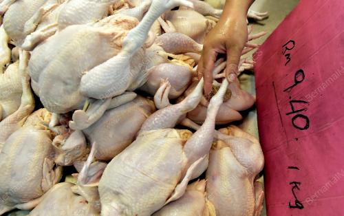 PEMANSUHAN SUBSIDI HARGA AYAM