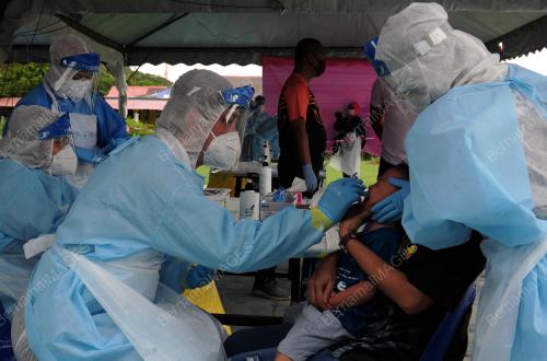 PROSES SARINGAN COVID-19 SECARA PERCUMA