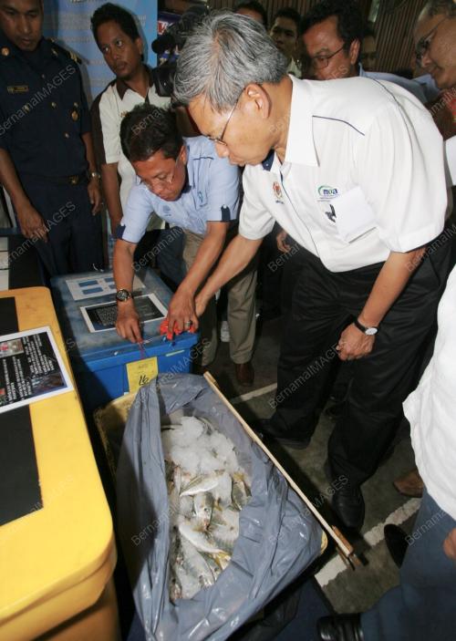 MUSTAPA MOHAMED