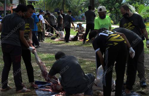 TINJAUAN IBADAH KORBAN