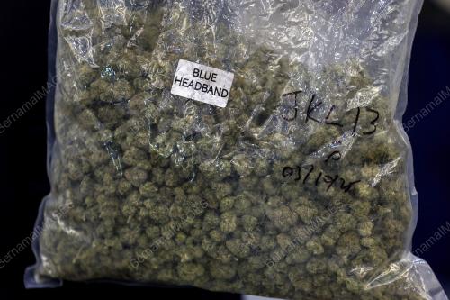 RAMPASAN SINDIKET PENGEDARAN DADAH JENIS BUNGA GANJA