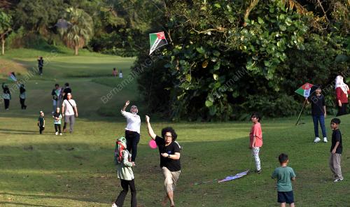 FLY KITE FOR GAZA