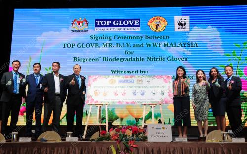 SG06_16082019_TOP_GLOVE_BN201908077432