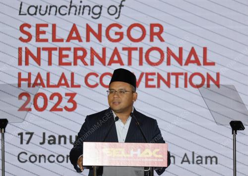 DATUK SERI AMIRUDIN SHARI