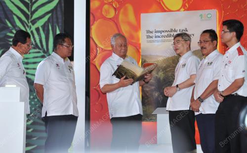 SG06_18052017_SAWIT_BN201705173957