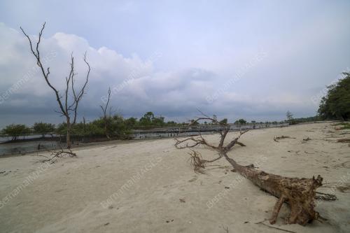 KAMPUNG BATU LAUT PANTAI SEPAT SEPANG