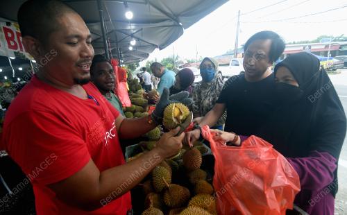 MUSIM DURIAN
