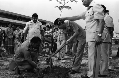 TANAM POKOK