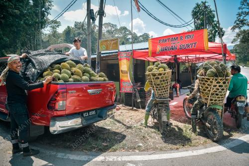 PENGUSAHA DURIAN KAMPUNG EKSPORT KE CHINA