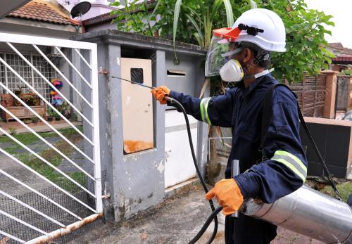SG06_25032015_DENGGI