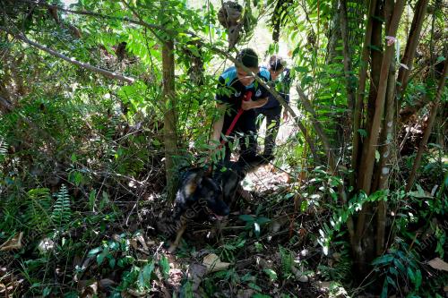 SAR ORANG HILANG DI BUKIT CHANGKAT ASA
