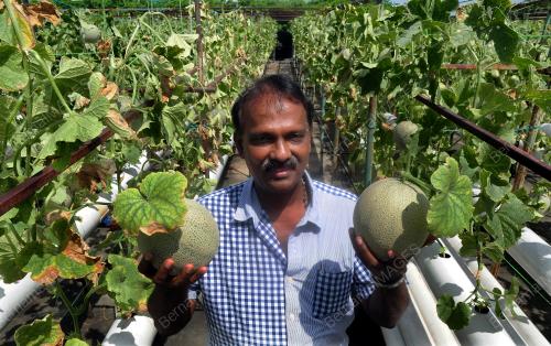 P MANICKAVASAGAM