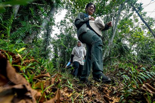 LAWATAN TAPAK HUTAN PAYA BAKAU OLEH DELEGASI ASEAN ATFP