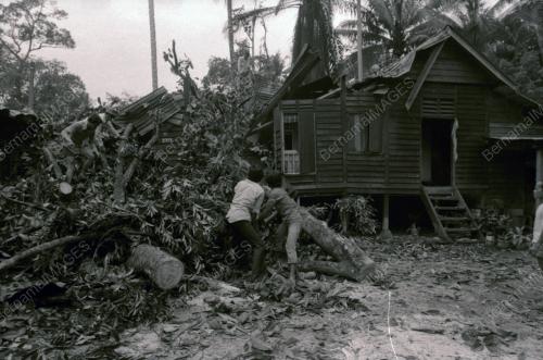 RUMAH DITIMPA POKOK DI KAMPUNG PAYA JARAS
