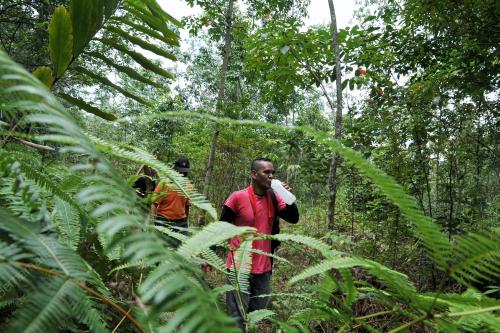 SG06_31102015_HILANG