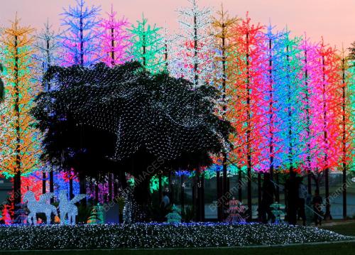 ORIENTAL DIGITAL LIGHTS FESTIVAL SHOWCASE