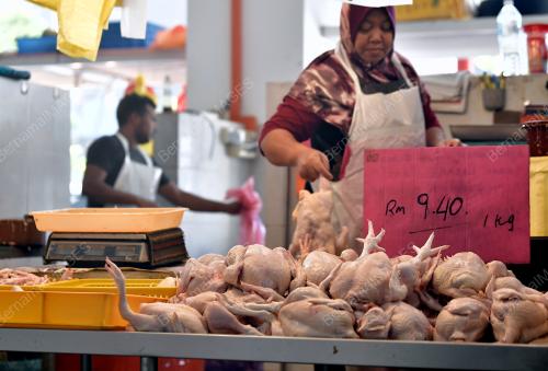 PEMANSUHAN SUBSIDI HARGA AYAM