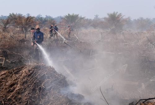 KEBAKARAN HUTAN SIMPAN KEKAL KUALA LANGAT