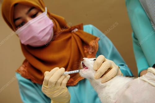TINJAUAN PENGOPERASIAN KLINIK HAIWAN