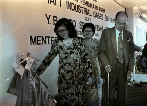 DATUK SERI RAFIDAH AZIZ