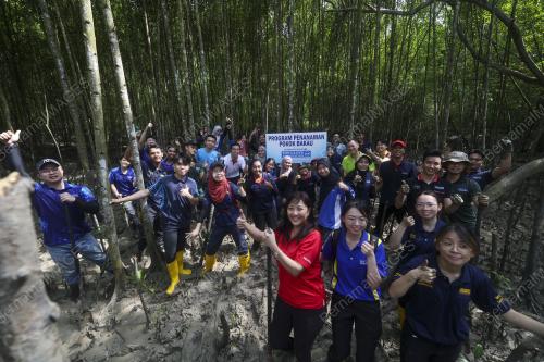 PROGRAM PENANAMAN POKOK BAKAU