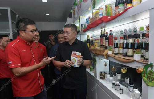 DATUK SERI SALAHUDDIN AYUB