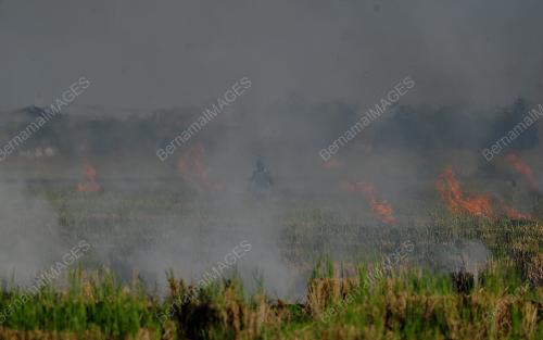 AKTVITI PELADANG DALAM TEMPOH SEKATAN PERGERAKAN PENUH