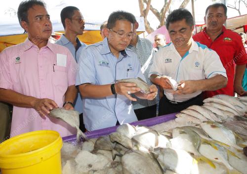DATUK SERI DR IRMOHIZAM IBRAHIM