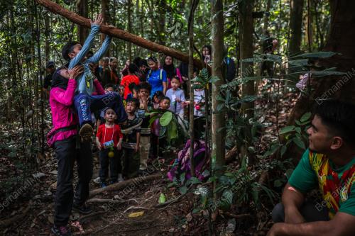 TODDLERS FOREST EXPLORATION